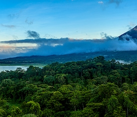 Les croisières les plus recherchées pour visiter Costa Rica
