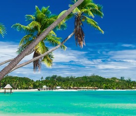 Les croisières les plus recherchées pour visiter Îles Fidji