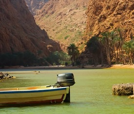Les croisières les plus recherchées pour visiter Oman