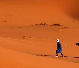 Les croisières les plus recherchées pour visiter Tunisie