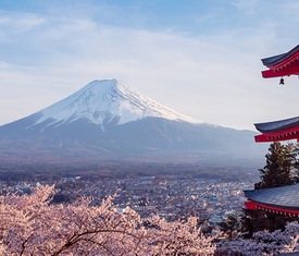 Les croisières les plus recherchées pour visiter Japon