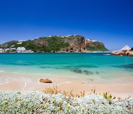 Meilleures offres de croisières à Mossel Bay (Afrique du Sud).