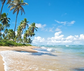 Meilleures offres de croisières à Salvador de Bahia (Brésil).