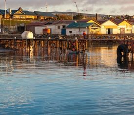 Meilleures offres de croisières à Punta Arenas (Chili).