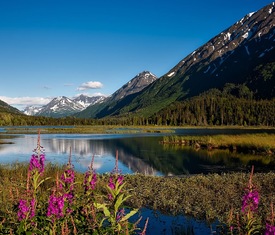Meilleures offres de croisières à Valdez (Alaska).