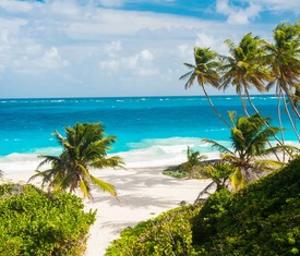 Meilleures offres de croisières au départ de Bridgetown (La Barbade)