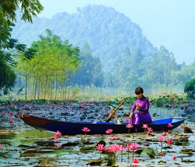 Meilleures offres de croisières à Hanoi (Vietnam).