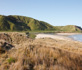 Meilleures offres de croisières à Gisborne, Nueva Zelanda.