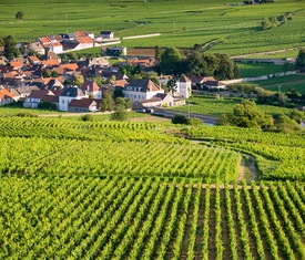 Meilleures offres de croisières à Le Verdon (Francia).
