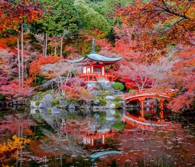 Meilleures offres de croisières à Osaka - Kyoto (Japon).