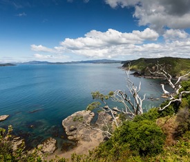 Meilleures offres de croisières à Bay of Islands (Nouvelle-Zélande).