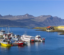 Meilleures offres de croisières à Djupivogur (Islande).