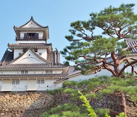 Meilleures offres de croisières à Kochi (Japon).