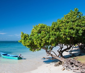 Meilleures offres de croisières à Samana (Rep. Dominicaine).