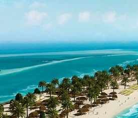 Meilleures offres de croisières à Sir Bani Yas.