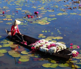 Meilleures offres de croisières à Sa Dec (Vietnam).
