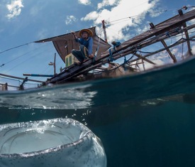 Meilleures offres de croisières à Kwatisore (Cenderawasih Bay, Indonesia).
