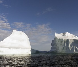 Meilleures offres de croisières à Îles Lower Savage.