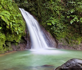 Meilleures offres de croisières au départ de Pointe-à-Pitre (Guadeloupe)