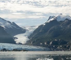 Meilleures offres de croisières à Glacier Amalia (Chili).