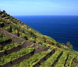 Meilleures offres de croisières à La Gomera (Îles Canaries).