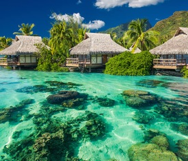 Meilleures offres de croisières à Moorea (Polynésie Française).