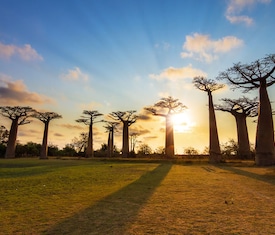Meilleures offres de croisières Entre Europe et Afrique