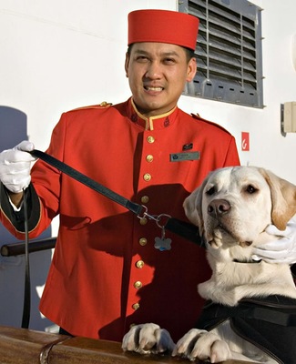 Image Queen Mary 2 31