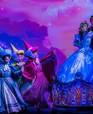 Image Disney Wonder 13