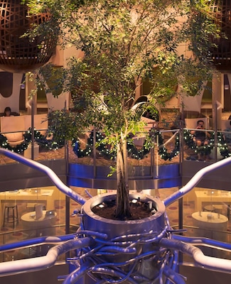 Image Celebrity Reflection 25