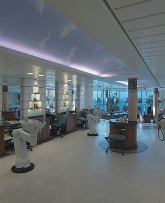 Image Vision of the Seas 11