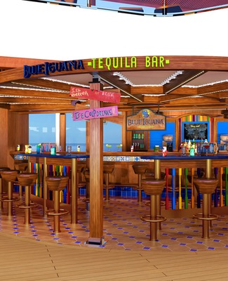 Image Carnival Vista 43