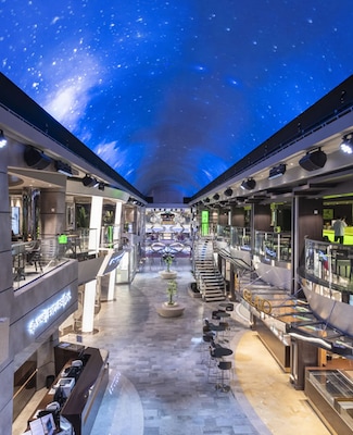 Image MSC Bellissima 43