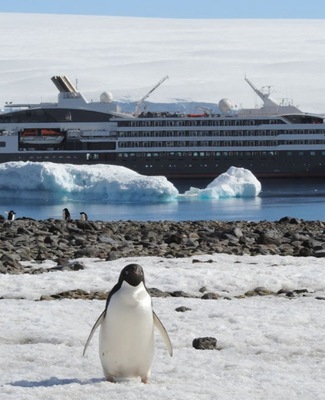 Image Le Austral 9