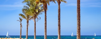 Torrevieja