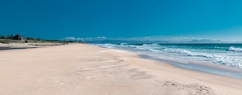 Barbate