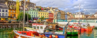 Cork
