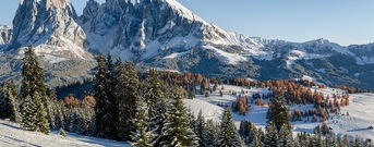 Alpe di Siusi