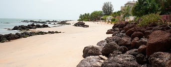 Saly