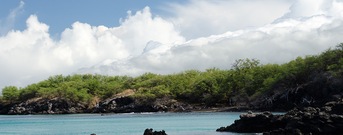 Puako