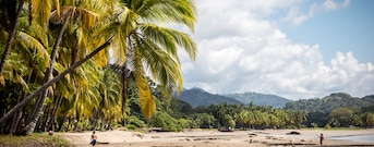 Tamarindo