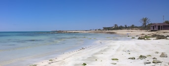 Plage de Sidi Mahrez