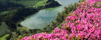 Île de São Miguel