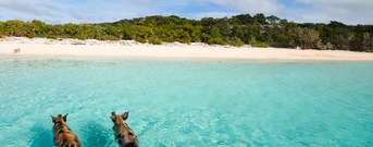 Great Exuma