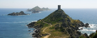 Corse