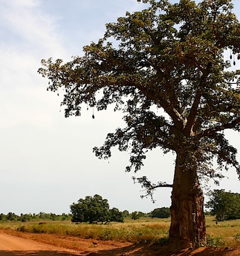 Banjul (Gambie)