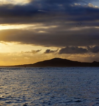 Caleta Tagus (ìle Isabela-Galapagos)