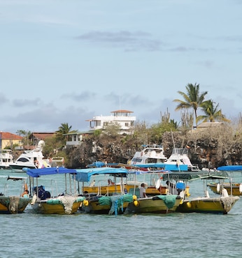 Puerto Ayora (ìle Sta Cruz-Galapagos)