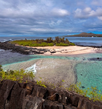 Elizabeth Bay (île Isabela-Galapagos)
