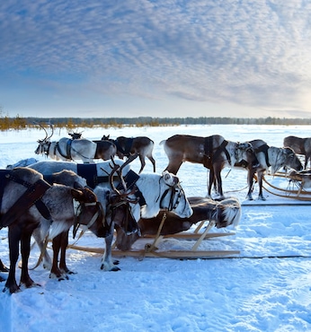 Alta (Norvège)